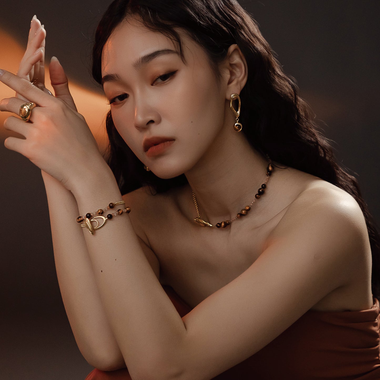 Solar Flares - Coronal Loop Tigerite Earrings (18K Gold Plated)